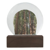 Bis Redwoods II im Muir Woods National Monument Schneekugel (Rückseite)