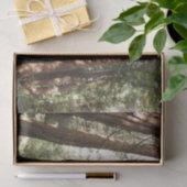 Bis Redwoods II im Muir Woods National Monument Seidenpapier (Geschenk)