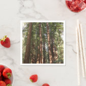 Bis Redwoods II im Muir Woods National Monument Serviette (Beispiel)