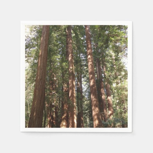 Bis Redwoods II im Muir Woods National Monument Serviette (Vorderseite)
