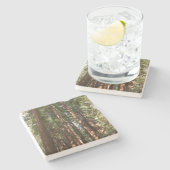 Bis Redwoods II im Muir Woods National Monument Steinuntersetzer (Seitenansicht)