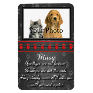 Bis wir wieder Memorial für Katze oder Hund treffe Magnet