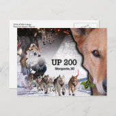 Bis zu 200 Collage Postcard Postkarte (Vorne/Hinten)