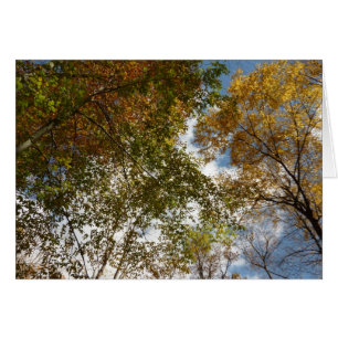 Bis zu den Herbstlauben II Herbstnatur