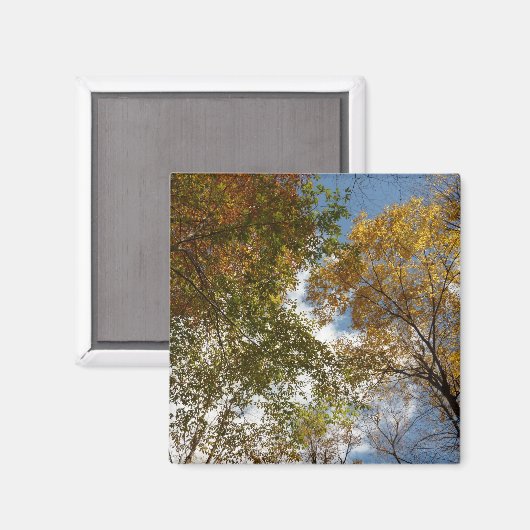 Bis zu den Herbstlauben II Herbstnatur Magnet (Vorderseite/Rückseite)