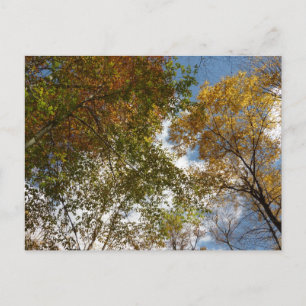 Bis zu den Herbstlauben II Herbstnatur Postkarte