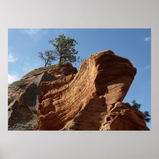Bis zu Engeln Landing im Zion National Park Poster (Vorne)