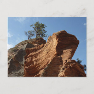 Bis zu Engeln Landing im Zion National Park Postkarte
