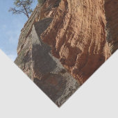 Bis zu Engeln Landing im Zion National Park Seidenpapier (Ausschnitt)