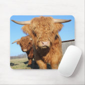 Bis zu Nahen schottische Kühe im Hochland Mousepad (Mit Mouse)