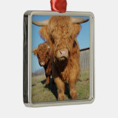 Bis zu Nahen schottische Kühe im Hochland Ornament Aus Metall (Rechts)
