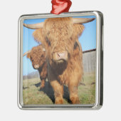 Bis zu Nahen schottische Kühe im Hochland Ornament Aus Metall (Links)