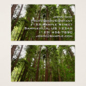 Bis zu Redwoods I im Muir Woods National Monument (Vorne & Hinten)