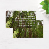 Bis zu Redwoods I im Muir Woods National Monument (Schreibtisch)