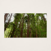 Bis zu Redwoods I im Muir Woods National Monument (Rückseite)