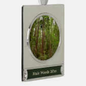 Bis zu Redwoods I im Muir Woods National Monument Banner-Ornament Silber (Rechts)