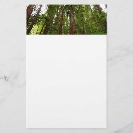 Bis zu Redwoods I im Muir Woods National Monument Briefpapier (Vorderseite)
