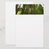 Bis zu Redwoods I im Muir Woods National Monument Briefpapier (Vorne/Hinten)