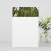 Bis zu Redwoods I im Muir Woods National Monument Briefpapier (Stehend Vorderseite)