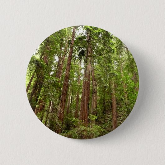 Bis zu Redwoods I im Muir Woods National Monument Button (Vorderseite)