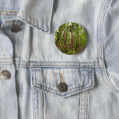 Bis zu Redwoods I im Muir Woods National Monument Button (Beispiel)