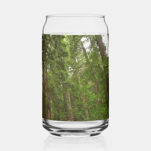 Bis zu Redwoods I im Muir Woods National Monument Dosenglas (Rückseite)