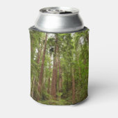 Bis zu Redwoods I im Muir Woods National Monument Dosenkühler (Kanne Rückseite)