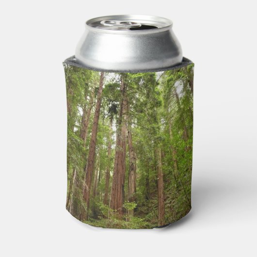 Bis zu Redwoods I im Muir Woods National Monument Dosenkühler (Kanne Rückseite)