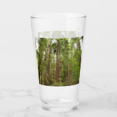 Bis zu Redwoods I im Muir Woods National Monument Glas (Rückseite)