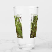 Bis zu Redwoods I im Muir Woods National Monument Glas (Links)