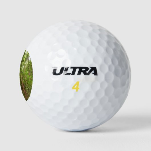 Bis zu Redwoods I im Muir Woods National Monument Golfball (Logo)