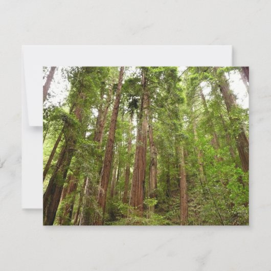 Bis zu Redwoods I im Muir Woods National Monument Karte (Vorderseite)