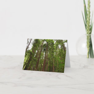 Bis zu Redwoods I im Muir Woods National Monument Karte