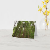 Bis zu Redwoods I im Muir Woods National Monument Karte (Gelbe Blume)