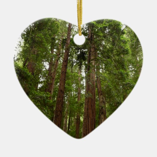 Bis zu Redwoods I im Muir Woods National Monument Keramikornament (Vorne)