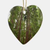 Bis zu Redwoods I im Muir Woods National Monument Keramikornament (Links)