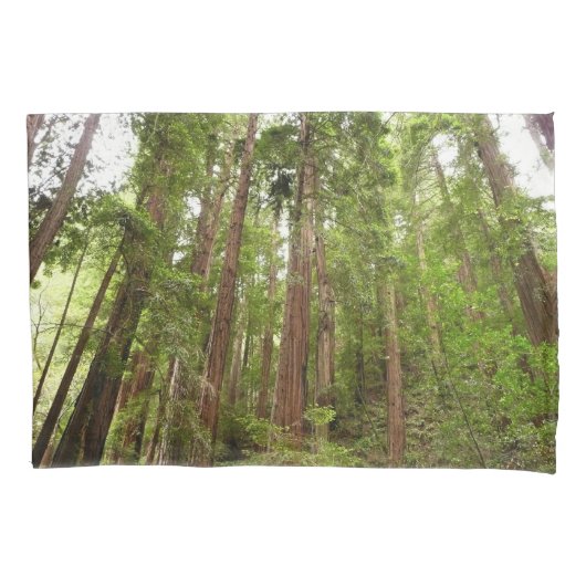 Bis zu Redwoods I im Muir Woods National Monument Kissenbezug (Vorderseite)