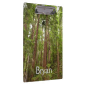 Bis zu Redwoods I im Muir Woods National Monument Klemmbrett (Rechts)