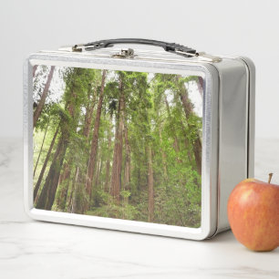 Bis zu Redwoods I im Muir Woods National Monument Metall Brotdose