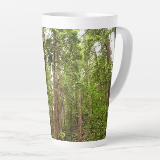 Bis zu Redwoods I im Muir Woods National Monument Milchtasse (Rechte Ecke)