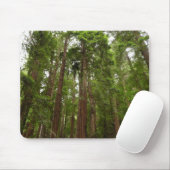 Bis zu Redwoods I im Muir Woods National Monument Mousepad (Mit Mouse)