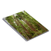 Bis zu Redwoods I im Muir Woods National Monument Notizblock (Rechte Seite)