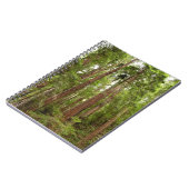 Bis zu Redwoods I im Muir Woods National Monument Notizblock (Linke Seite)