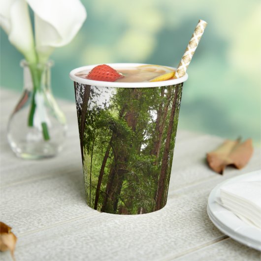 Bis zu Redwoods I im Muir Woods National Monument Pappbecher (In Situ)