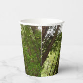 Bis zu Redwoods I im Muir Woods National Monument Pappbecher (Rechts)