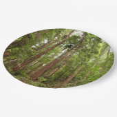 Bis zu Redwoods I im Muir Woods National Monument Pappteller (Schrägansicht)