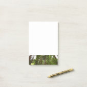 Bis zu Redwoods I im Muir Woods National Monument Post-it Klebezettel (Auf Schreibtisch)