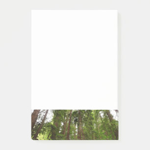 Bis zu Redwoods I im Muir Woods National Monument Post-it Klebezettel