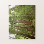 Bis zu Redwoods I im Muir Woods National Monument Puzzle (Vertikal)