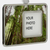 Bis zu Redwoods I im Muir Woods National Monument Rahmen-Ornament Silber (Rechts)